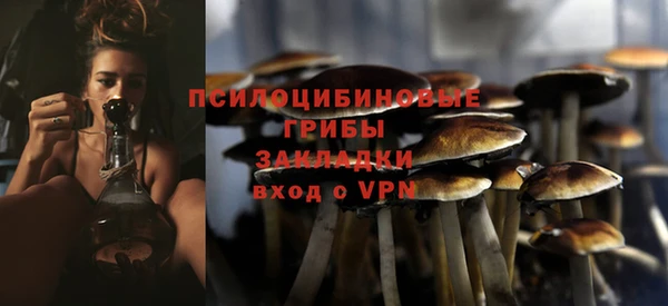 прущий лед Алексин